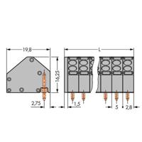 WAGO 806-103 Veerkrachtklemblok 1.50 mm² Aantal polen 3 Grijs 250 stuk(s) - thumbnail