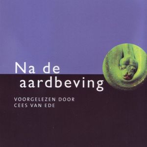 Na de aardbeving