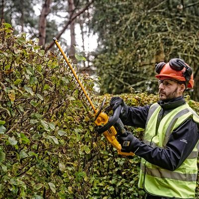 DeWALT DCMHT563N-XJ elektrische heggenschaar Dubbel blad 2,9 kg