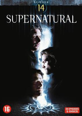Supernatural - Seizoen 14 - DVD (5051888251010)