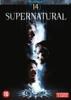 Supernatural - Seizoen 14 - DVD (5051888251010)