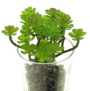 Sappig in glas groen 16cm