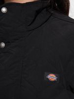 Dickies / Zomerjas Thorsby in zwart