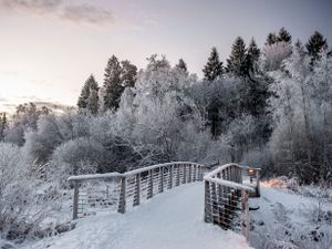 Tuinposter Winter Brug 2