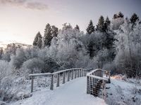 Tuinposter Winter Brug 2 - thumbnail