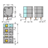 WAGO 739-205 Veerkrachtklemblok 2.50 mm² Aantal polen 5 Grijs 120 stuk(s)