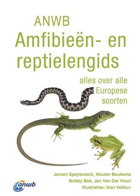 ANWB Amfibieën- en reptielengids - Jeroen Speybroeck, Wouter Beukema - Paperback (9789021566566) ANWB Amfibieën- en reptielengids - Jeroen Speybroeck, Wouter Beukema - Paperback (9789021566566)