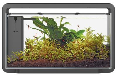 Home 30 Zwart - Aquascaping Aquarium