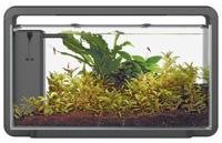 Home 30 Zwart - Aquascaping Aquarium