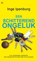 Een schitterend ongeluk - Inge Ipenburg - ebook