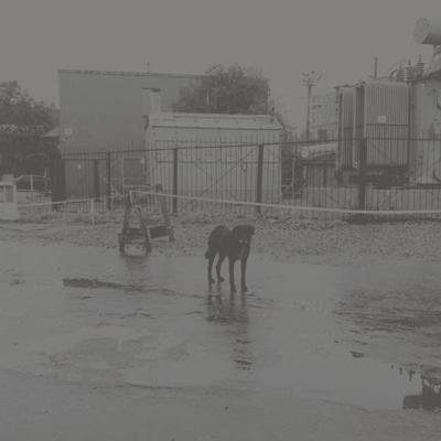 After Its Own Death - CD (0857661008230)