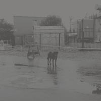 After Its Own Death - CD (0857661008230)