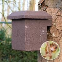 WoodStone Nestkast Hazelmuis - thumbnail