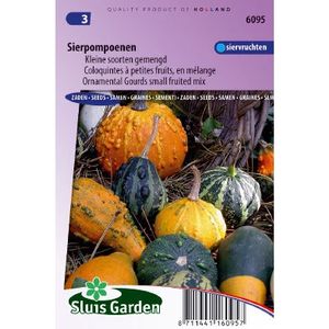 Cucurbita Pepo zaden Sierkalebas sierpompoen