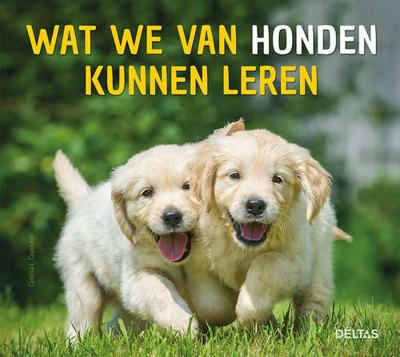 Wat we van honden kunnen leren - Cynthia-L. Copeland - Hardcover (9789044751055)