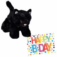 Pluche knuffel kat/poes zwart 18 cm met A5-size Happy Birthday wenskaart - thumbnail