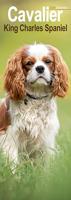 Cavalier King Charles Slim Calendar 2026 Dog Breed Slimline Calendar - 12 Month
