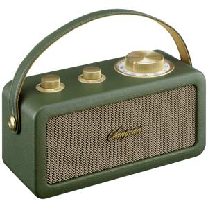 Sangean RA-101 Draagbare radio FM Bluetooth, AUX Oplaadbaar Groen, Goud