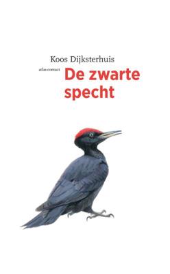 De zwarte specht - Koos Dijksterhuis - Paperback (9789045041216) De zwarte specht - Koos Dijksterhuis - Paperback (9789045041216)