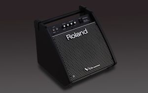 Roland PM-100 drummonitor voor V-Drums 80W