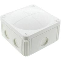 Wiska COMBI 607/5/W Aftakkast (l x b x h) 110 x 110 x 60 mm Crème-wit IP66/IP67 1 stuk(s) - thumbnail