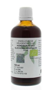 Glechoma hederacea / hondsdraf tinctuur bio