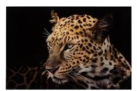 J-Line Wanddeco Luipaard Getemperd Glas Mix