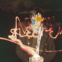 Nonsleeper - LP (4250137269481)