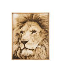 J-Line - J-Line Wanddecoratie Leeuw Hout Glas Bruin - 100x81 CM