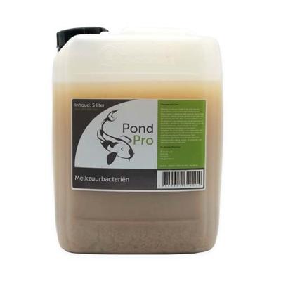 Pond Pro Melkzuurbacteriën - 5 Liter Pond Pro Melkzuurbacteriën - 5 Liter
