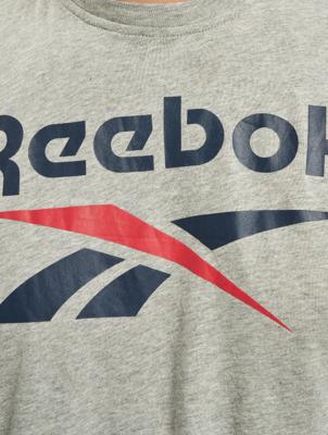 Reebok / t-shirt Identity Big Logo in grijs