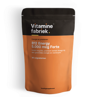 B12 Energy - 5000 mcg Forte - 90 zuigtabletten - Vitaminefabriek.nl - thumbnail