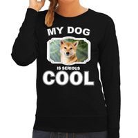 Shiba inu honden sweater / trui my dog is serious cool zwart voor dames - thumbnail