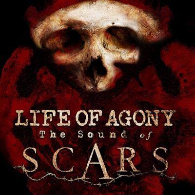 The Sound Of Scars - CD (0840588124190)