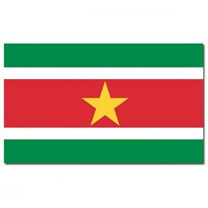 Landen thema vlag Suriname 90 x 150 cm