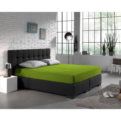 Dreamhouse Hoeslaken Dubbel Jersey Green