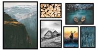 Posters - Natuur / Set van 6 - thumbnail