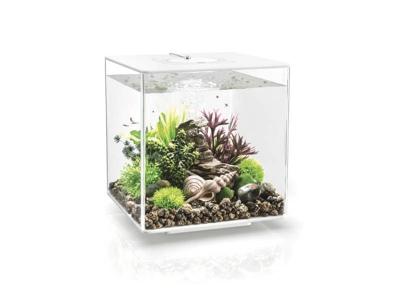 BiOrb Cube 30 MRC - Wit Aquarium