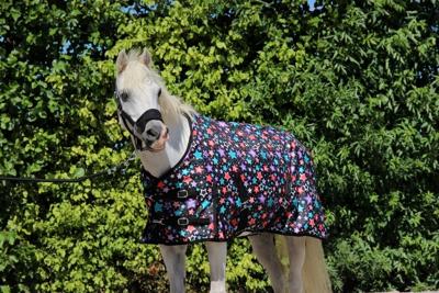 HB Harry & Hector Outdoordeken Fantasy