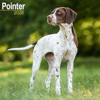 Pointer Calendar 2026 Square Dog Breed Wall Calendar - 16 Month