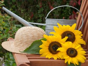 Tuinposter Zonnebloem 5