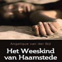 Het weeskind van Haamstede - thumbnail