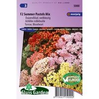 Duizendblad zaden Summer Pastels F2 mix (Achillea) - thumbnail