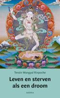 Leven en sterven als een droom - Tenzin Wangyal Rinpoche - eBook (9789056703172)