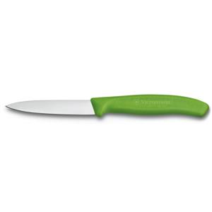 Victorinox SwissClassic 6.7606 Roestvrijstaal Schilmes