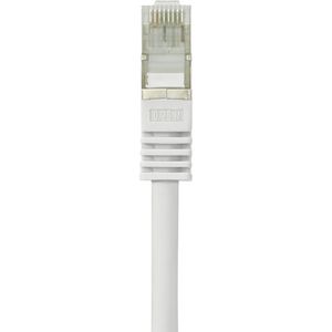 Renkforce RF-4541484 RJ45 Netwerkkabel, patchkabel CAT 5e F/UTP 0.25 m Grijs Snagless 1 stuk(s)