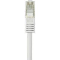 Renkforce RF-4541484 RJ45 Netwerkkabel, patchkabel CAT 5e F/UTP 0.25 m Grijs Snagless 1 stuk(s) - thumbnail