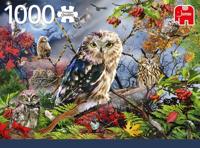 Premium Collection Puzzel - Owls In The Moonlight (1000 Stukjes) - Puzzel;Puzzel (8710126188590)