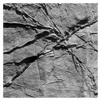 Arachnesound - CD (0880918251417)