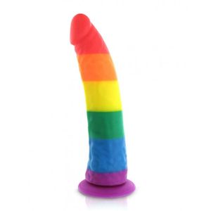 Pride Dildo - Silicone Rainbow Pride Dildo